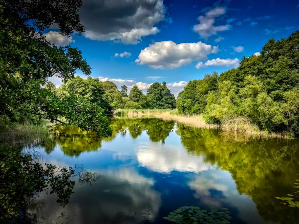 istock Cholmondeley reflective Garden Lake 1018655246