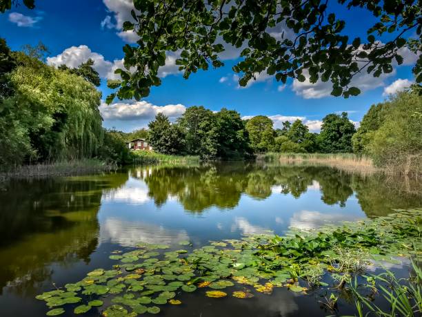 istock Cholmondeley reflective Garden Lake 1018659472