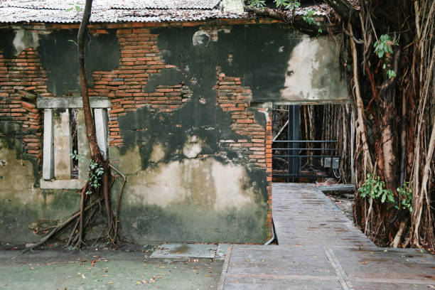 istock Anping Tree House, historical architecture in Tainan, Taiwan 1018674702