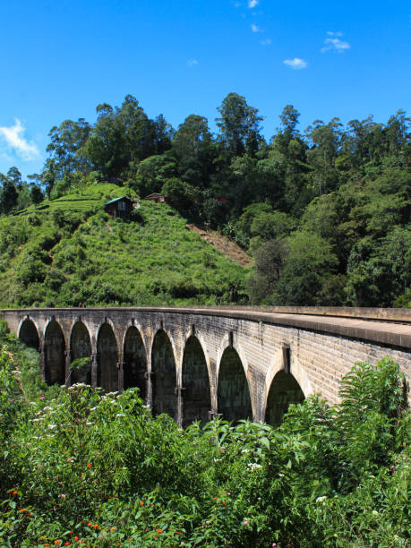 Nine Arch Bridge, Ella - Sri Lanka Nine Arch Bridge, Ella - Sri Lanka ella sri lanka stock pictures, royalty-free photos & images