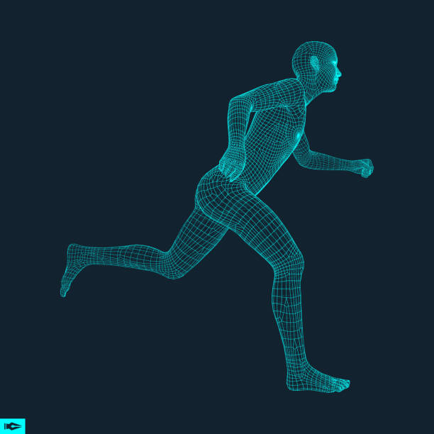 istock 3d Running Man. Design for Sport, Business, Science and Technology. Vector Illustration. Human Body. 1018683582