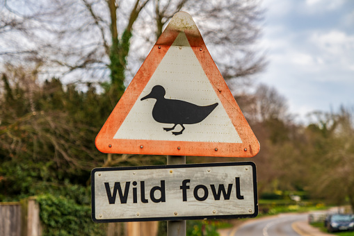 Sign & Symbol: Wild fowl - seen in Coltishall, The Broads, Norfolk, England, UK