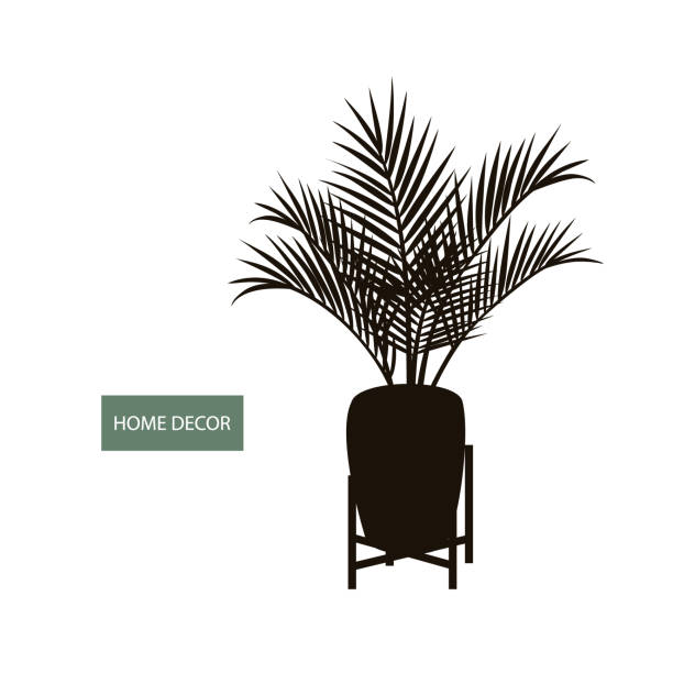 illustrazioni stock, clip art, cartoni animati e icone di tendenza di palma da interno di piante d'appartamento in una pentola e decorativo supporto vegetale vintage silhouette - arema