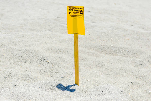 Sea turtle nest sign on the beach
