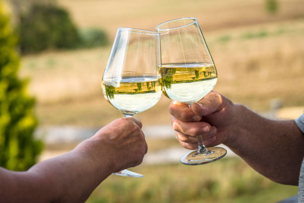 istock Cheers with white wine a garden 1018718342
