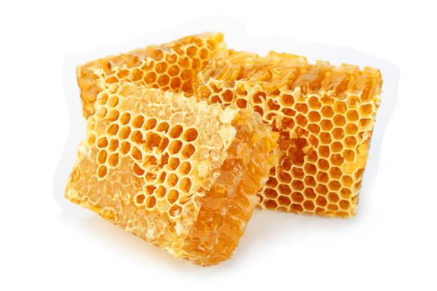 istock Honeycomb slice closeup on white 1018727416