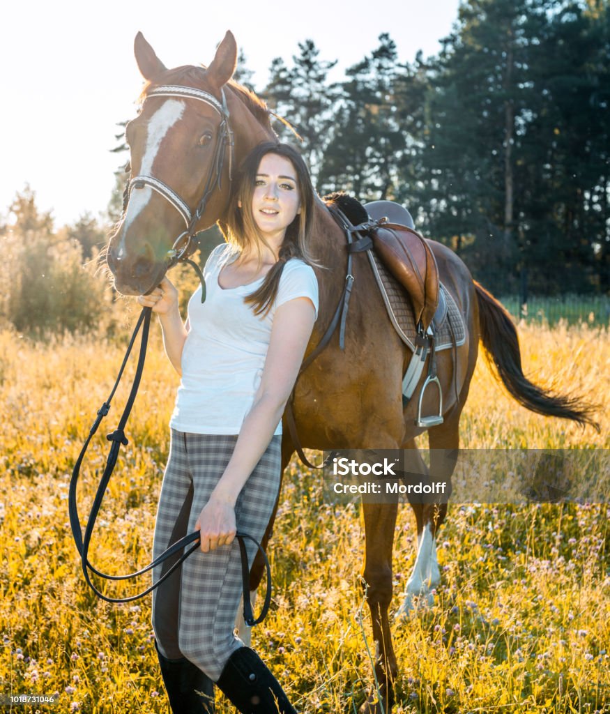 Người Phụ Nữ Xinh Đẹp Với Con Ngựa Đi Bộ Ngoài Trời Hình ảnh Sẵn ...