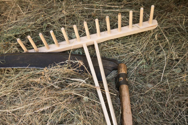 istock A scythe and a rake with  hay 1018735176