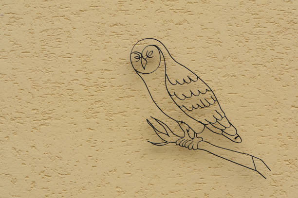 four wise owls with a border for an inscription isolated on a white background