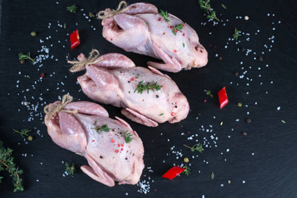 istock Raw uncooked seasoned partridges .Ingredients for cooking healthy meat dinner. 1018738672