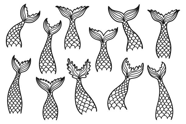 Print Set of mermaid tail silhouettes. Hand drawn contour marine elements. Vector illustrations isolated on white background. whale tale stock illustrations