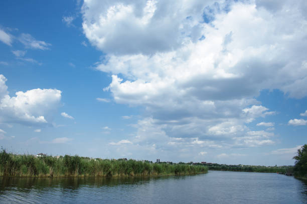 istock The river landscape with the reed. 1018742990