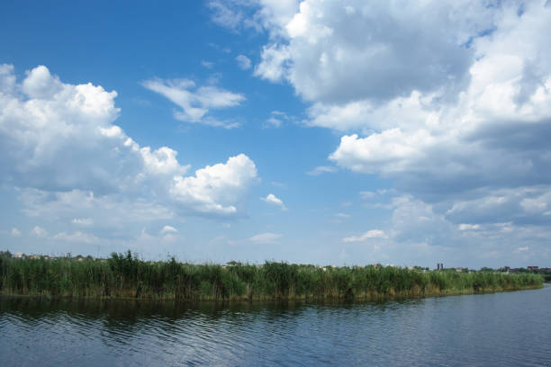 istock The river landscape with the reed. 1018742994