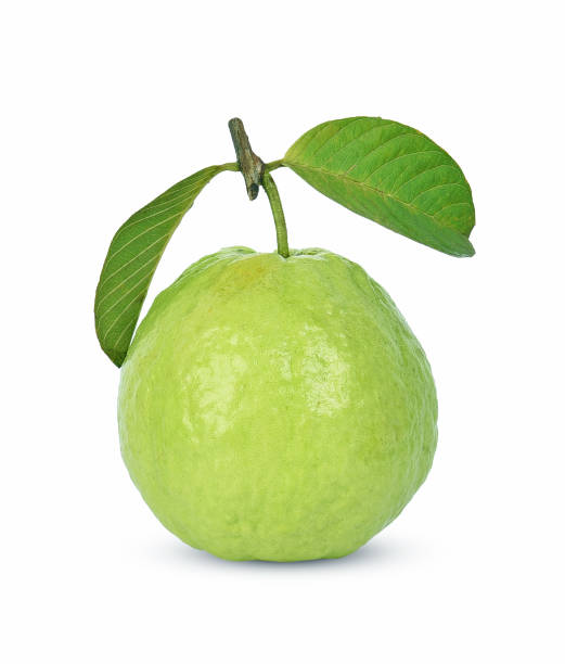 구아바 후르트 격리됨에 흰색 배경의 - guava vegetable tropical climate fruit 뉴스 사진 이미지