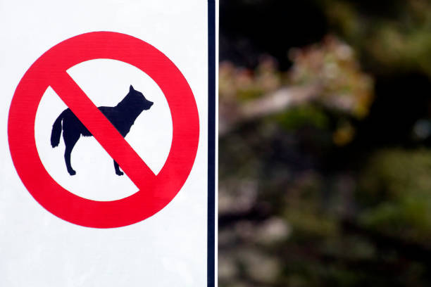 istock No dogs allowed sign, road sign 1018746378