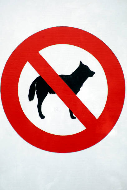 istock No dogs allowed sign, road sign 1018746382
