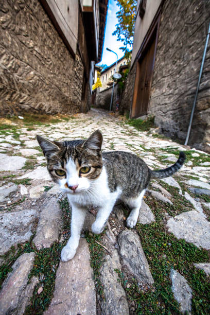 Safranbolu is one of the oldest settlements in Anatolia. old mansions and historic streets, historical Bazaar is worth seeing.