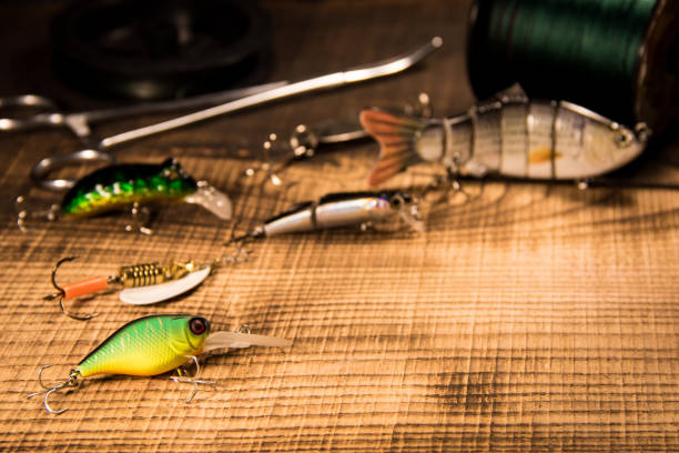 Fishing concept with gear, artificial bait on a predator on a wooden background, top view wobblers and various bait cords and tongs on a wooden background copyspace Fishing gear, artificial bait on a predator on a wooden background, top view wobblers and various bait cords and tongs with copyspace on a wooden background with . minnow fish photos stock pictures, royalty-free photos & images