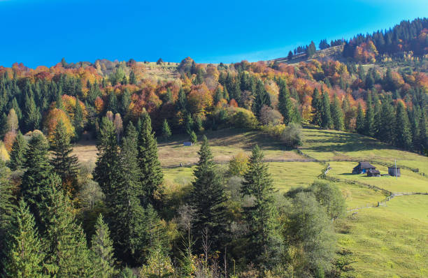 istock Carpathian mountain autumn landscape 1018764464