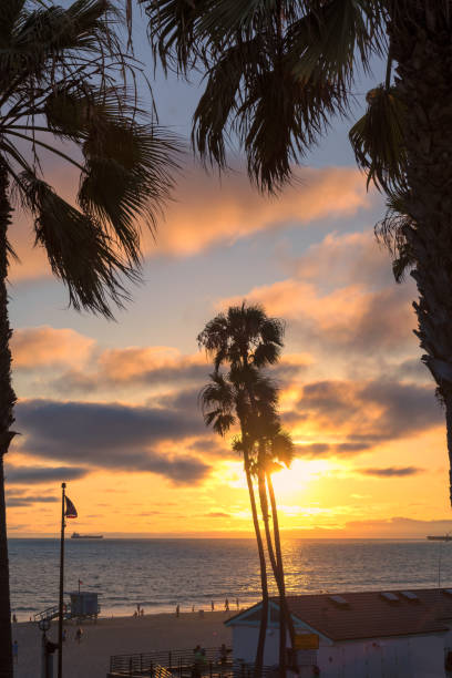 playa de manhattan al atardecer en los angeles, california - venice california santa monica pier sunset beach fotografías e imágenes de stock
