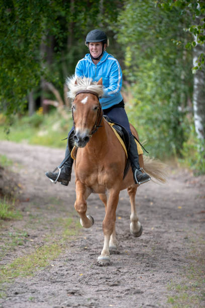 istock Woman horseback riding 1018777174