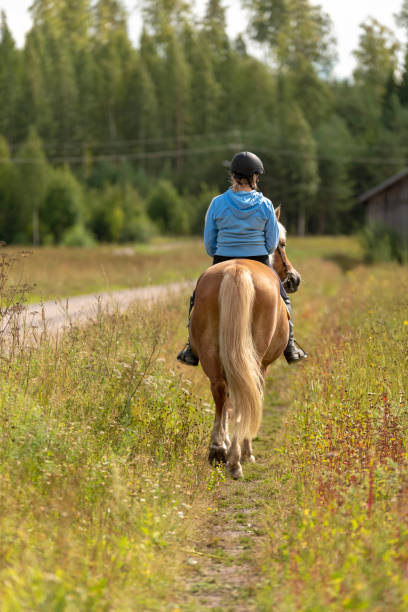 istock Woman horseback riding 1018782704
