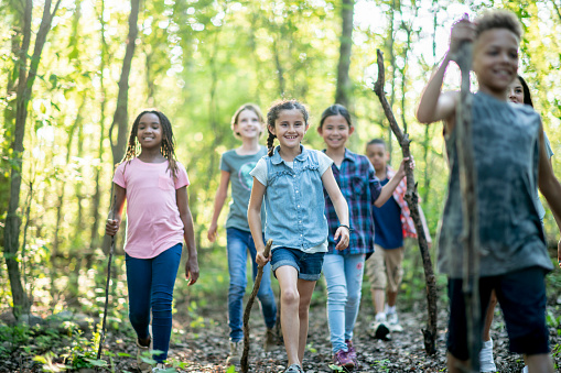 A group of kids are outdoors. They are hiking through a forest, and carrying walking sticks.