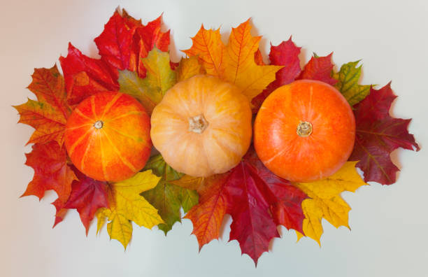 istock Pumpkins and autumn maple leaves 1018800168