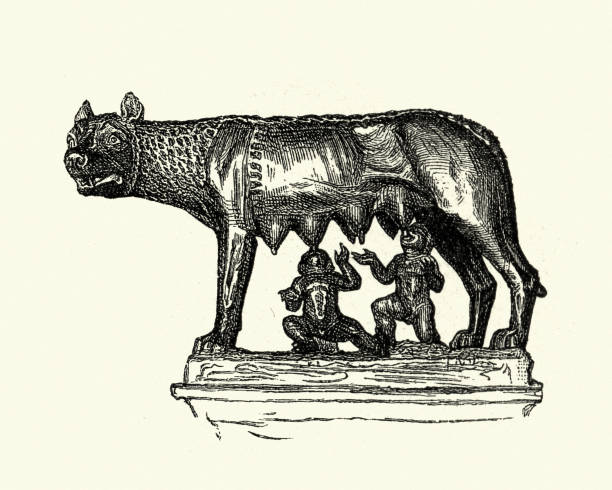 ла лупа капитолина (капитолийский волк), ромулус и ремус - suckling stock illustrations