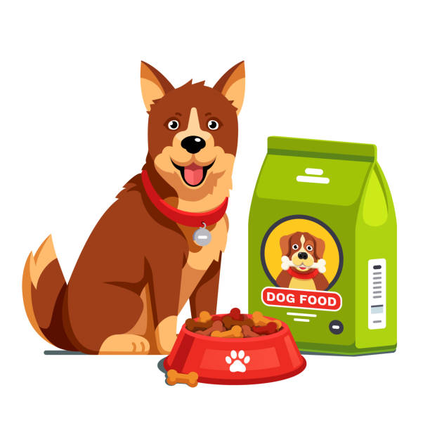 Dog Sitting Next To Full Dry Food Bowl And Bag Package Flat Style Vector  Stock Illustration - Download Image Now - iStock