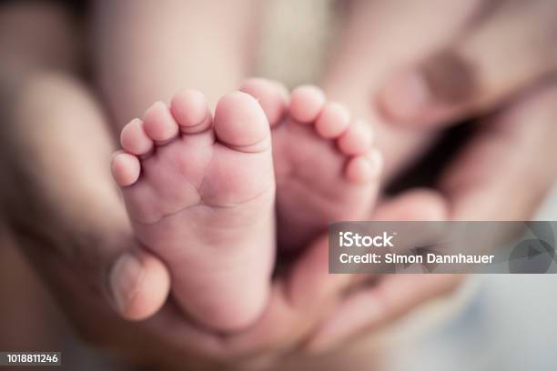 Feet Of A Newborn Baby In The Hands Of Parents Happy Family Oncept Mum And Dad Hug Their Babys Legs Stock Photo - Download Image Now