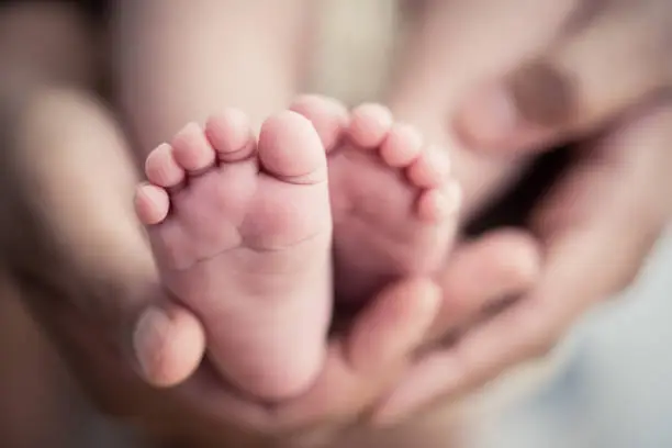 Photo of Feet of a newborn baby in the hands of parents. Happy Family oncept. Mum and Dad hug their baby's legs.