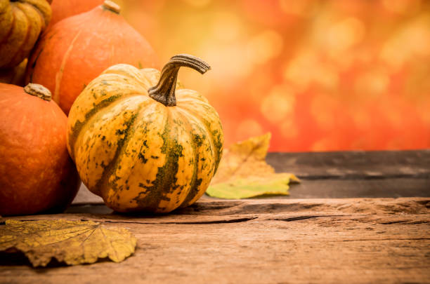 istock Fall harvest cornucopia. Autumn season with fruit and vegetable. Copy space for text. 1018817292