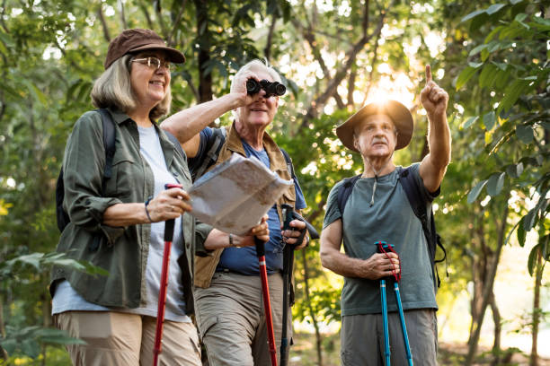 istock Group of senior trekkers checking a map for direction 1018825656