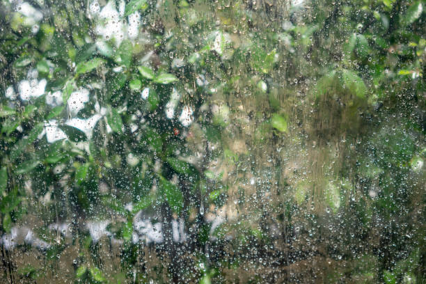 istock Rain drops on dirty window with green tree in the background 1018830810