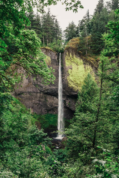 istock Latourell Falls waterfall along the Columbia River Gorge 1018831630