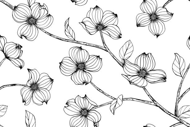 nahtloser hartriegel blumen muster hintergrund. schwarz und weiß mit dem zeichnen der linie kunst illustration. - design pencil drawing doodle environment stock-grafiken, -clipart, -cartoons und -symbole