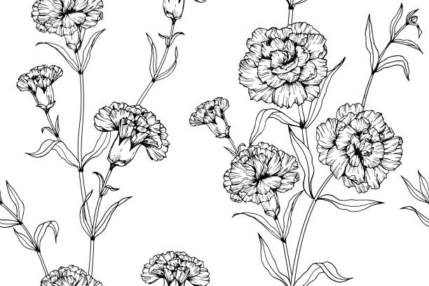 Seamless Carnation flower pattern background. Black and white with drawing line art illustration. Seamless Carnation flower pattern background. Black and white with drawing line art illustration. carnation flower stock illustrations