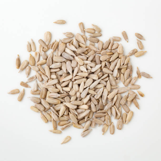 istock Sunflower seeds isolated on white background 1018840246