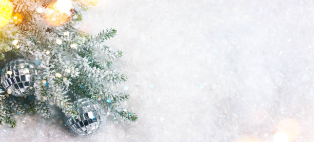 istock Christmas tree branch, holiday background 1018842814