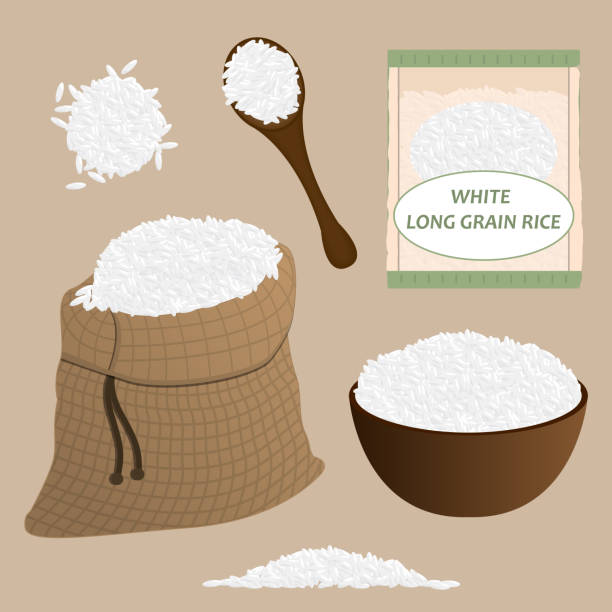 zestaw wektorów białego ryżu. zestaw ikon ryżu. wektor. - rice cereal plant white rice white stock illustrations