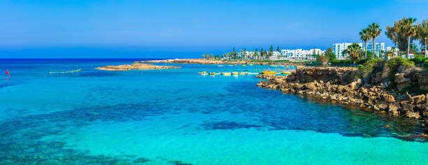 sommer-urlaub auf der insel zypern. protaras, fig tree bay - sea fig stock-fotos und bilder