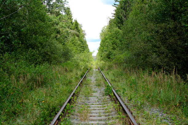 istock One track railroad in the forest 1018852766