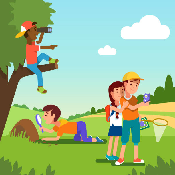 Group of school student doing summer nature research project together. Kids looking at anthill with magnifier, watching through binoculars & watching butterfly. Flat isolated vector School student kids doing summer nature research project. Boy look at anthill with magnifier. Boy sitting on tree watching through binoculars. Kids watching butterfly. Flat vector illustration anthill stock illustrations
