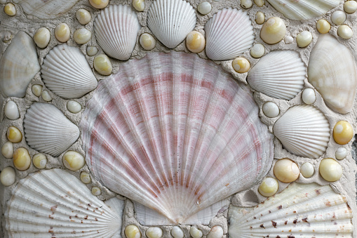 A mosaic of natural sea shells set into a wall