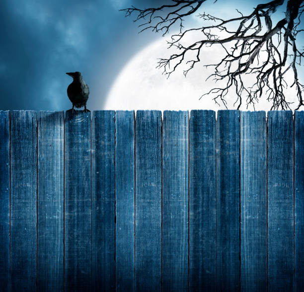 A black crow sits on top of an old weathered fence as a full moon rises behind a bare tree in the background.