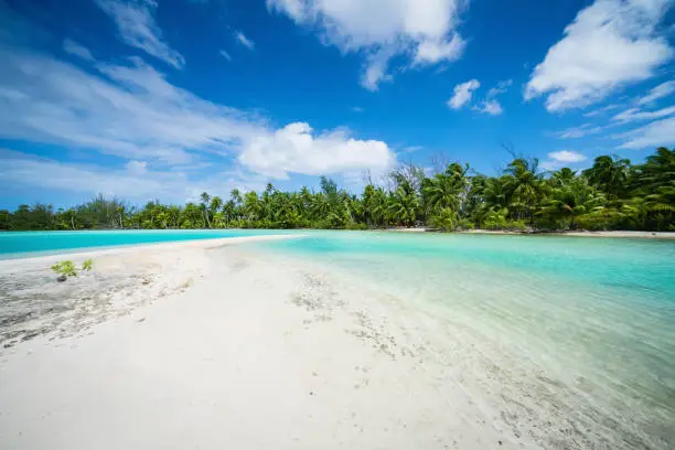Sandbank at Teahatea, the beautiful, untouched natural blue - turquoise - green lagoon and natural beach in the UNESCO Nature Biosphere Reserve with tropical palm trees. Fakarava Atoll Island, UNESCO Biosphere Reserve, Tuamotu Islands Archipelago, French Polynesia.