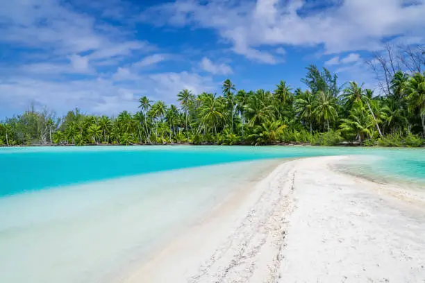 Teahatea, the beautiful, untouched natural blue - turquoise - green lagoon and natural beach in the UNESCO Nature Biosphere Reserve with tropical palm trees like 'made for a postcard'. Fakarava Atoll Island, UNESCO Biosphere Reserve, Tuamotu Islands Archipelago, French Polynesia.