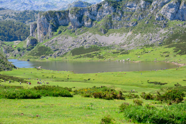 istock Asturias, north of Spain. 1018870156