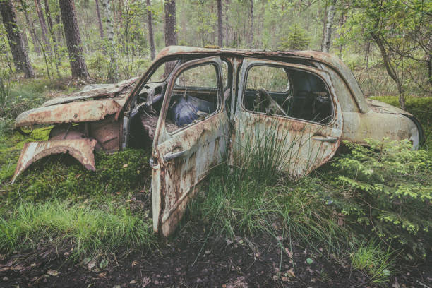istock Old rusted scrap car in a forest 1018873950